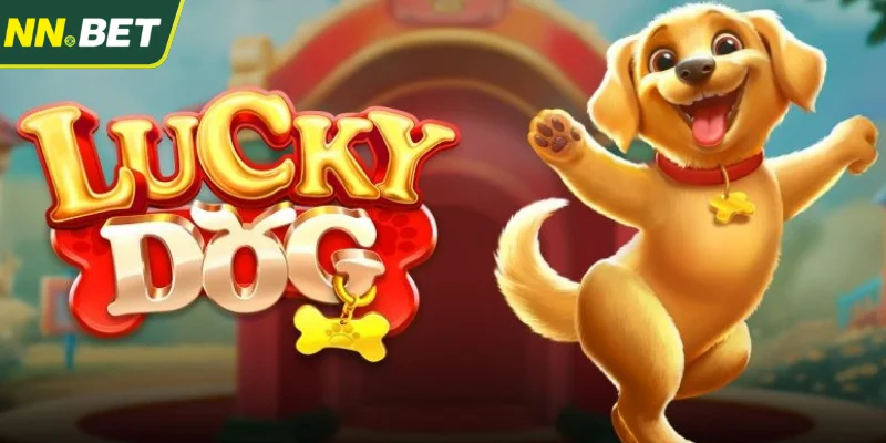 Dicas e Estratégias Para Ganhar Muito no Jogo Slot Lucky Dog
